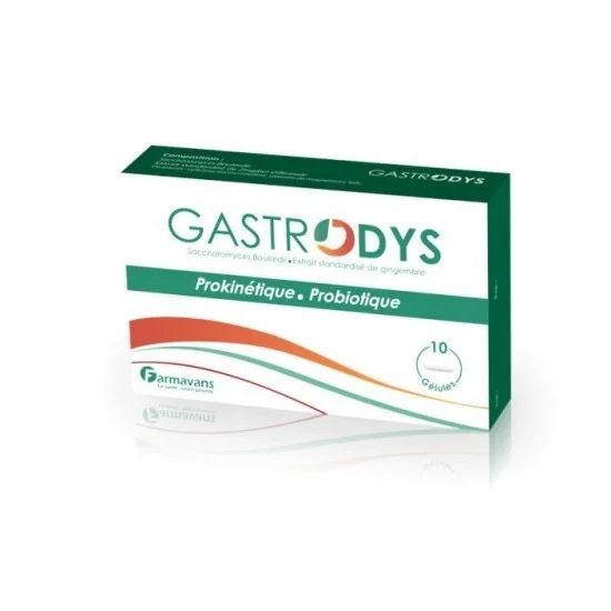 GASTRODYS, 10 Gélules FARMAVANS pour Accueil