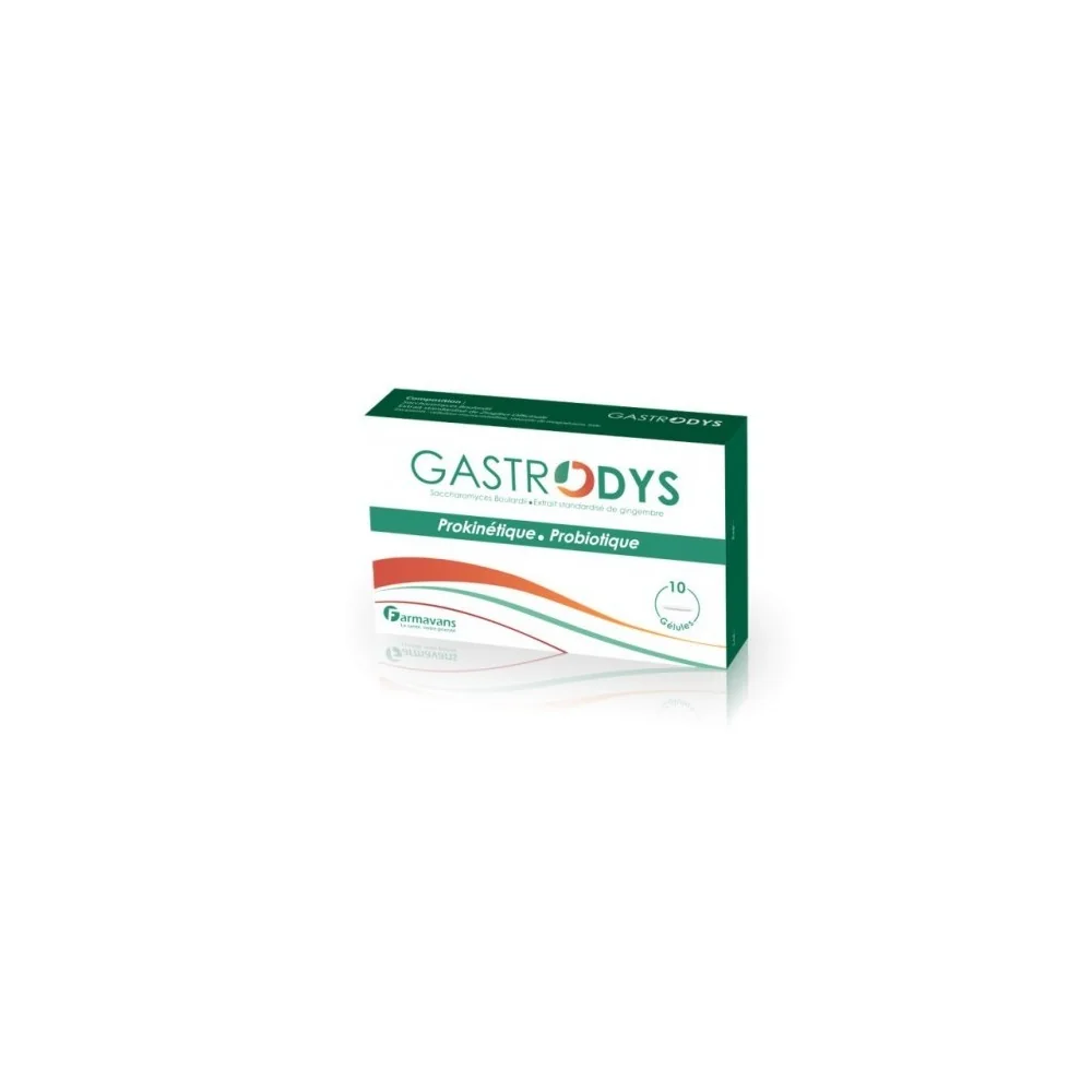 GASTRODYS, 10 Gélules FARMAVANS pour Accueil