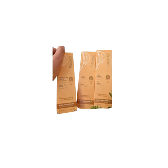 PLACENTOR ECRAN TEINTE OU INVISIBLE LOT 3 pour Accueil
