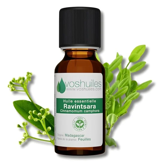 VOSHUILES - HUILE ESSENTIELLE DE RAVINTSARA pour Soins