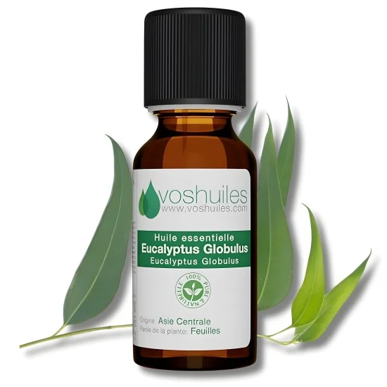 VOSHUILES - HUILE ESSENTIELLE D'EUCALYPTUS GLOBULUS pour Soins