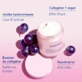 CAUDALIE RESVERATROL LIFT - CREME CACHEMIRE REDENSIFIANTE RECHARGE 50ML