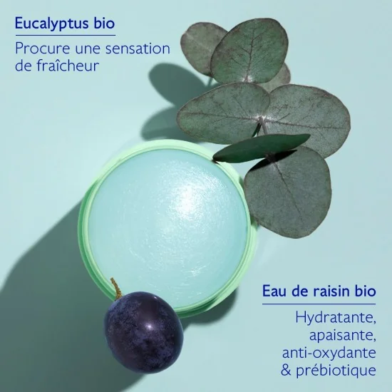 CAUDALIE VINOFRESH - DEODORANT STICK NATUREL 50G